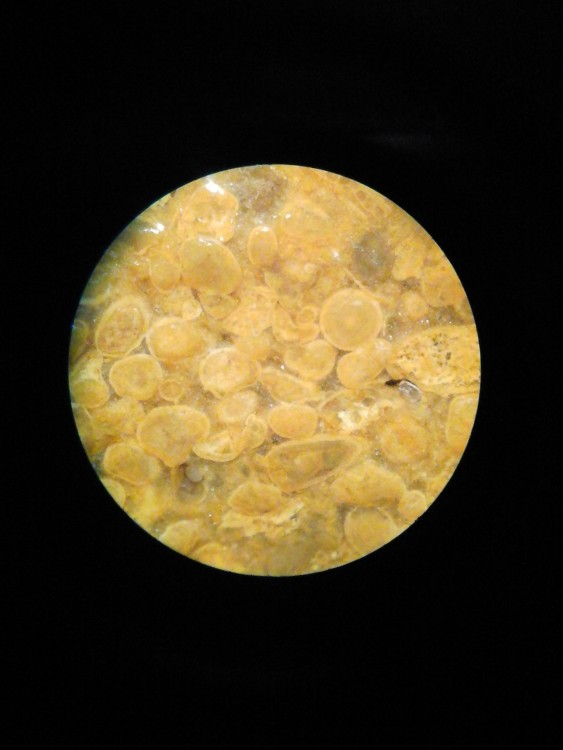 20171010_234542.jpg