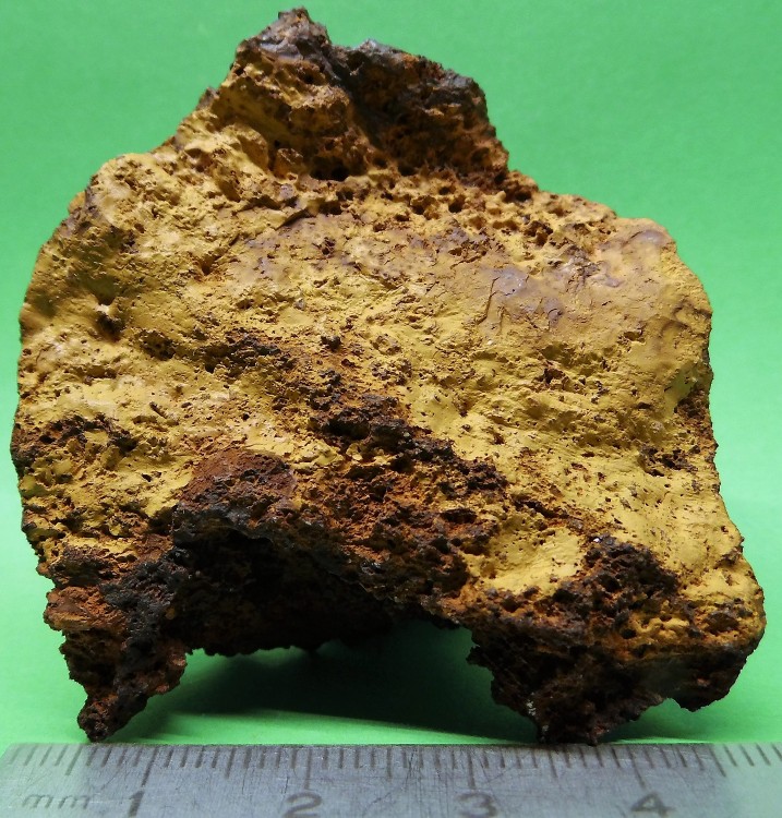 59df92afd2dcb_(4)52-Limonite-MontagnedeChizeuille22aout2017.thumb.jpg.e603cf186a937594d2fed24269348540.jpg