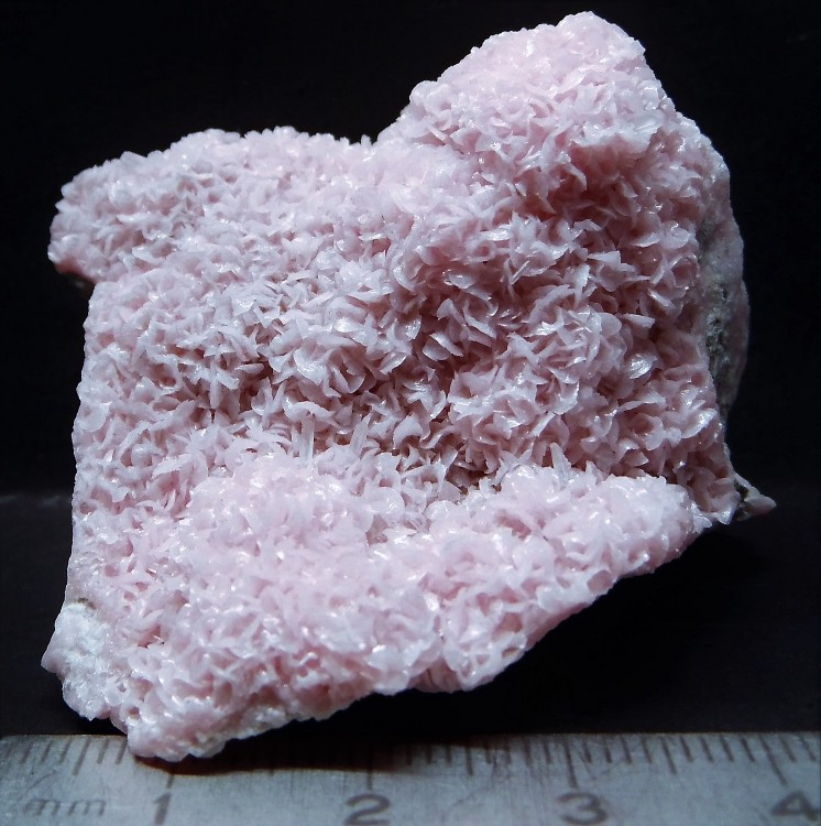 59ed9a6eb9acd_(5)82-Rhodochrosite-CavnicMaramureCo.ROUMANIE.thumb.jpg.9a5eb5c085b28b7965b291ca713a225d.jpg