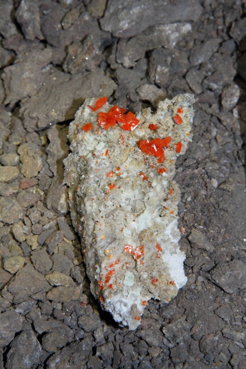 AZ_Specimen wulfenite.jpg