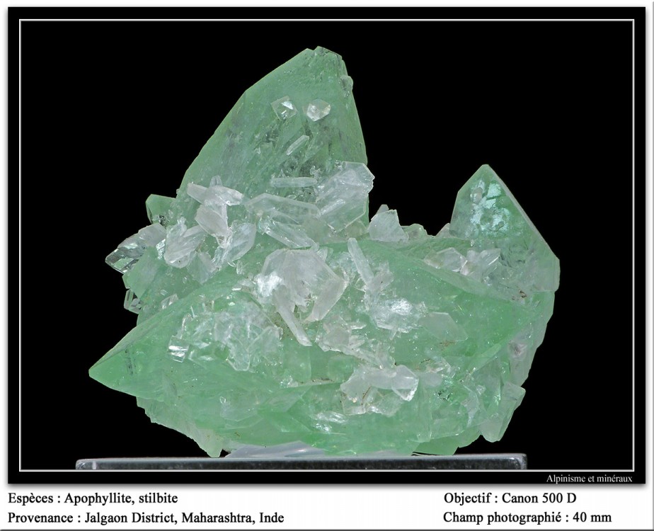 apophyllite-jalgaon-inde-mineral.jpg