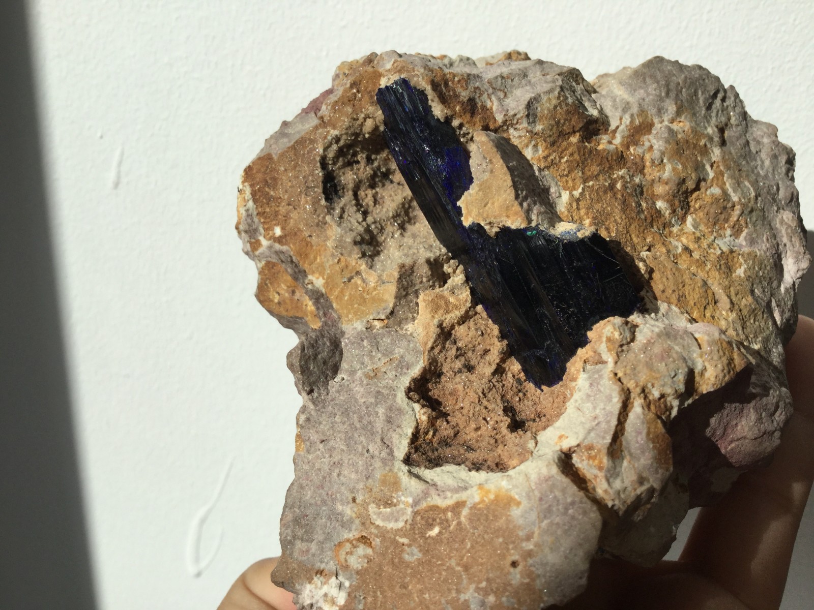 Azurite dans quartzite