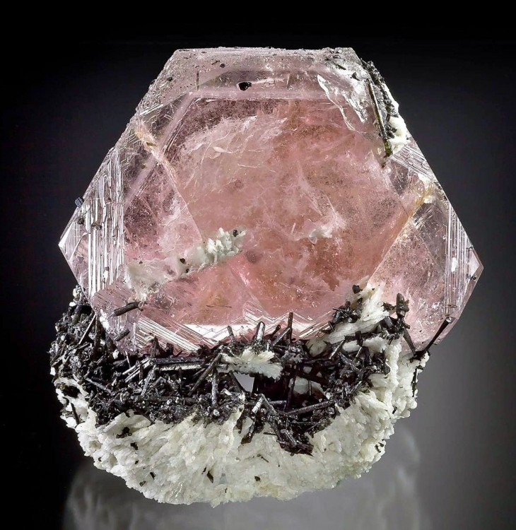 morganite-beryl-bresil-mineral.jpg