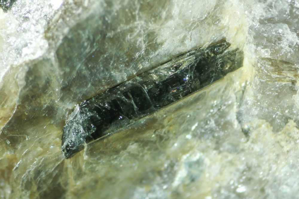 tourmaline_orvault.thumb.jpg.43ff3572875d9421493212bf060091ba.jpg