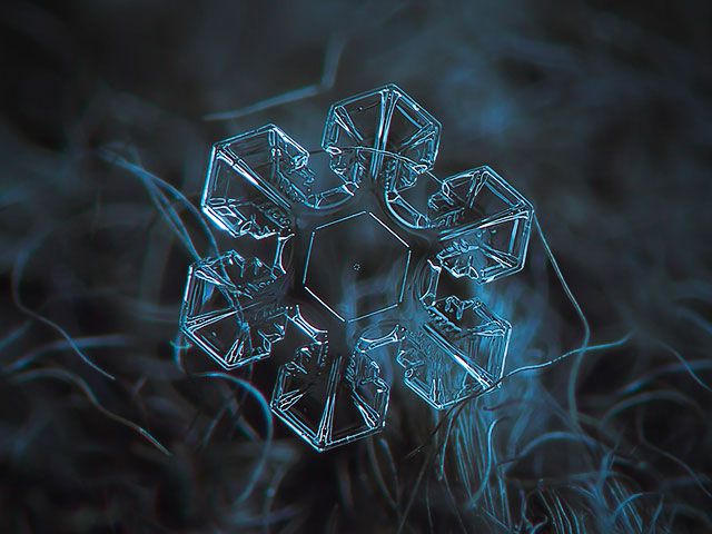 alexey-kljatov-snowflake-4.jpg.53cf69cd0aadd20768d3dd4f99e871ce.jpg