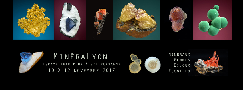 bourse-mineraux-lyon-2017.png