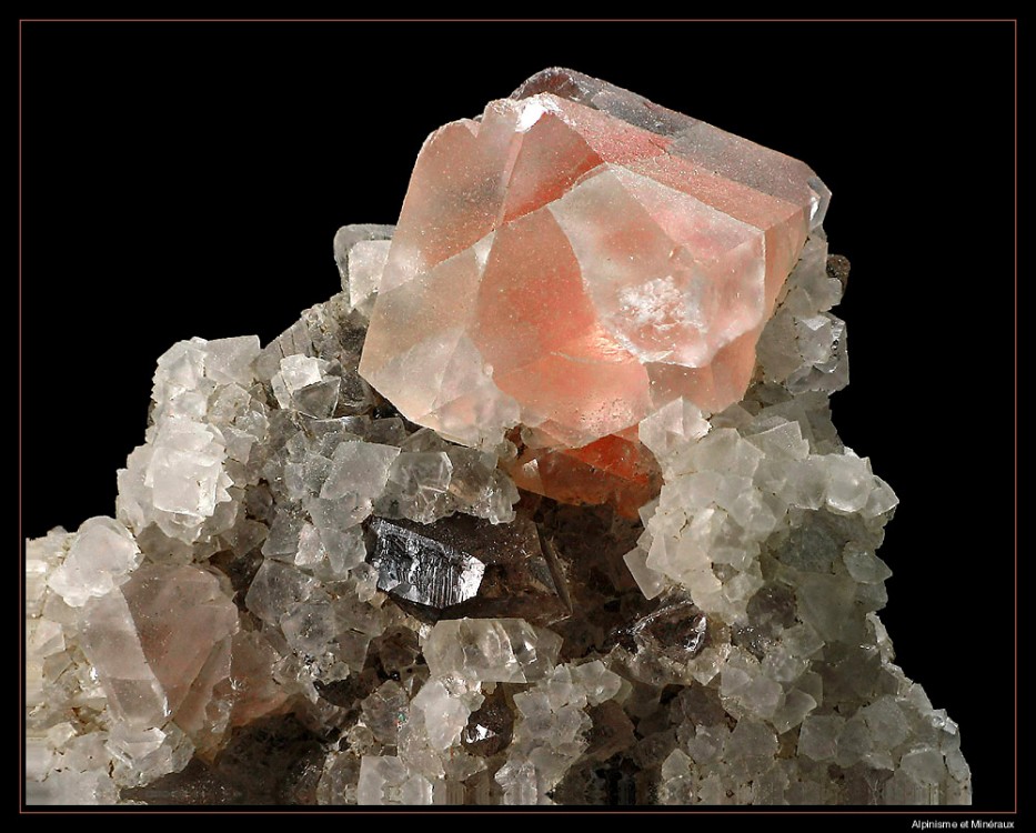 fluorine-rose-chamonix-mont-blanc.jpg