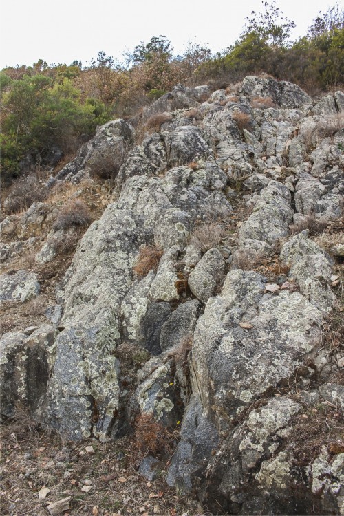 lichens.thumb.jpg.bc73ce5c198996c1adbf6973ddc3b394.jpg