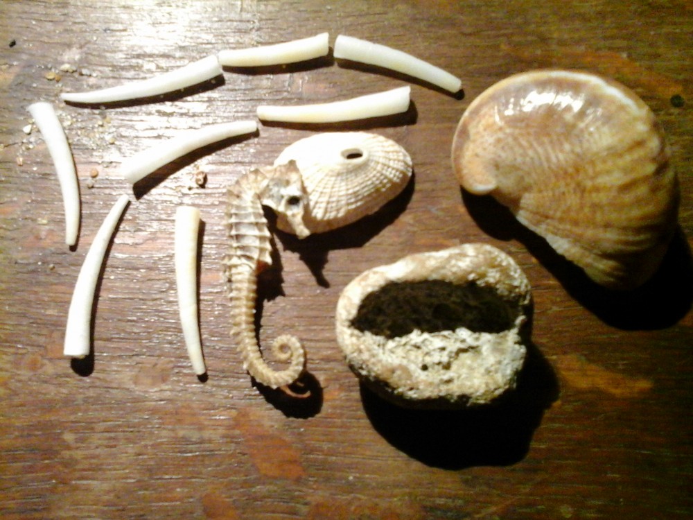 20171206_223051.jpg