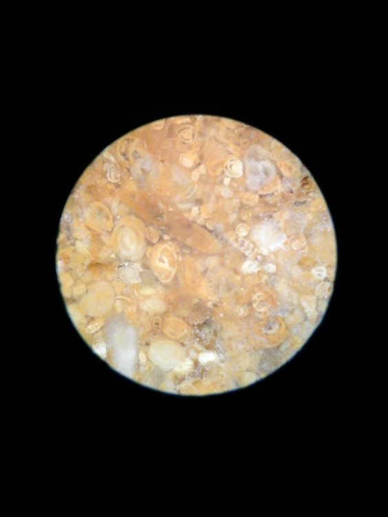 20171208_143209.jpg
