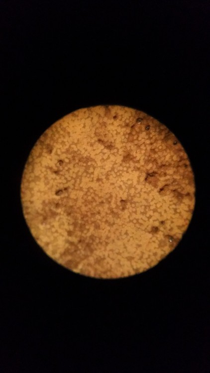 20171225_084012.jpg