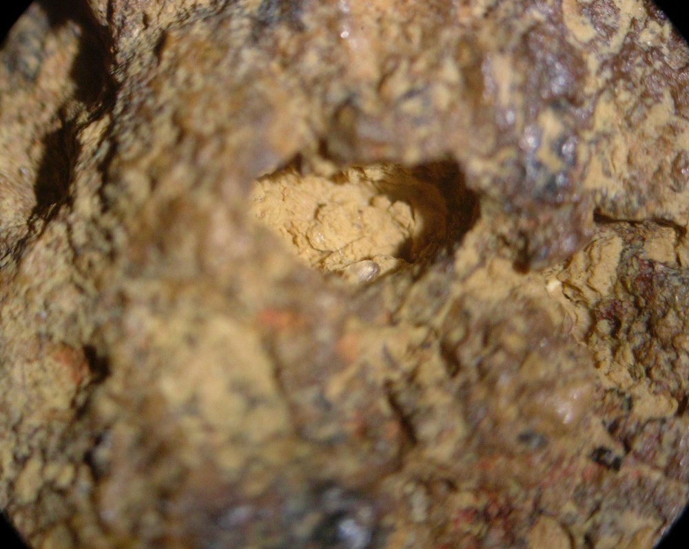 5a43dffb730d3_Paleoproterozoic-hot-spring-deposits-Gabon-N6-sand-grains-12.thumb.jpg.62f11dddf1ecdb9c2bc78ebb6aefe056.jpg