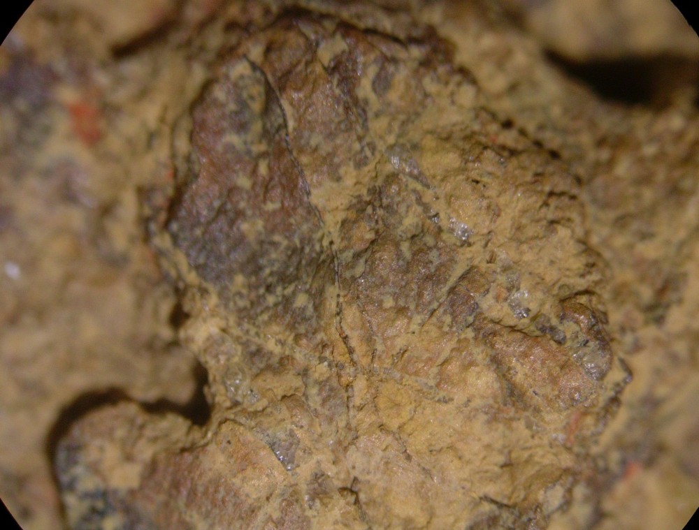 5a4617720f331_Paleoproterozoic-hot-spring-deposits-Gabon-N6-clay-12.thumb.jpg.d0eeba31b12c359eedf22b9cd3766da8.jpg