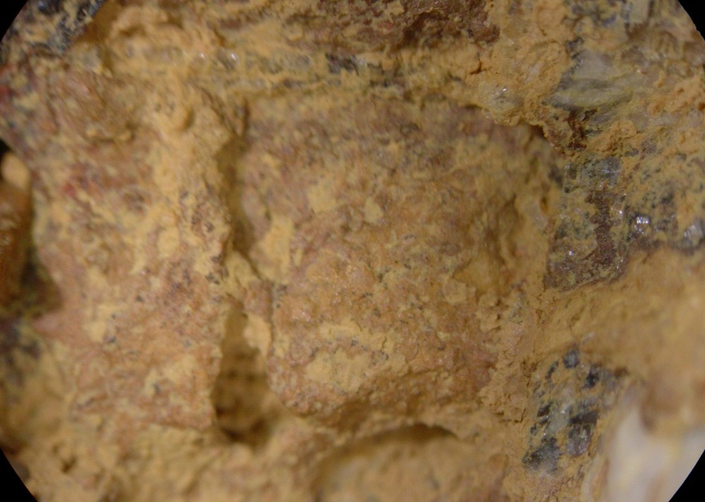 5a46188b6e156_Paleoproterozoic-hot-spring-deposits-Gabon-N6-clay-22.thumb.jpg.4c240831e8248af2ebc4c7e85ee74168.jpg