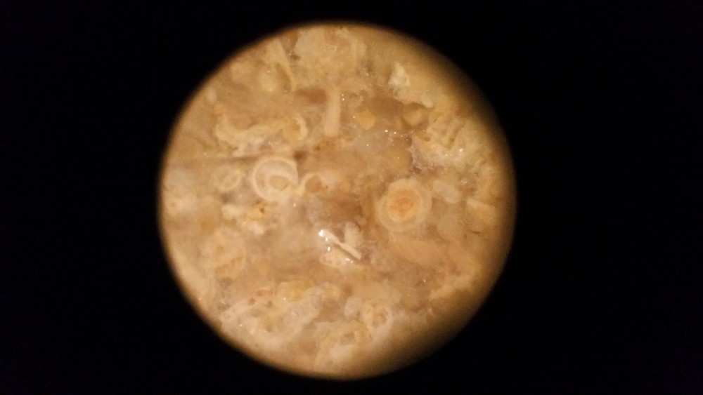 20180119_213843.jpg