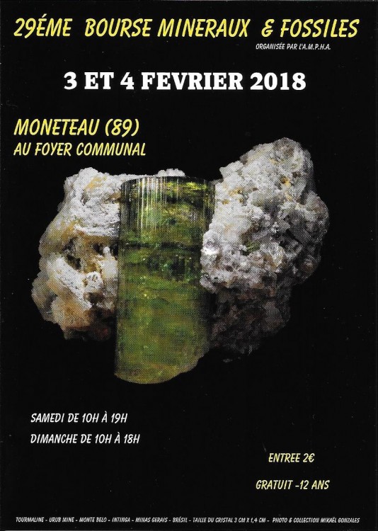 Flyer Monéteau 2018.jpg