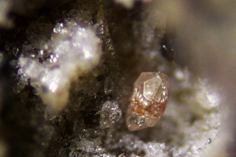 6  Micro x 10  __  IMG  1,5 mm  web.jpg