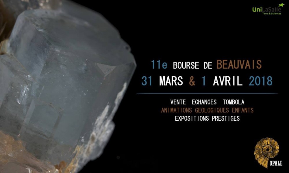 bourse-mineraux-beauvais-fossiles-exposition.jpg