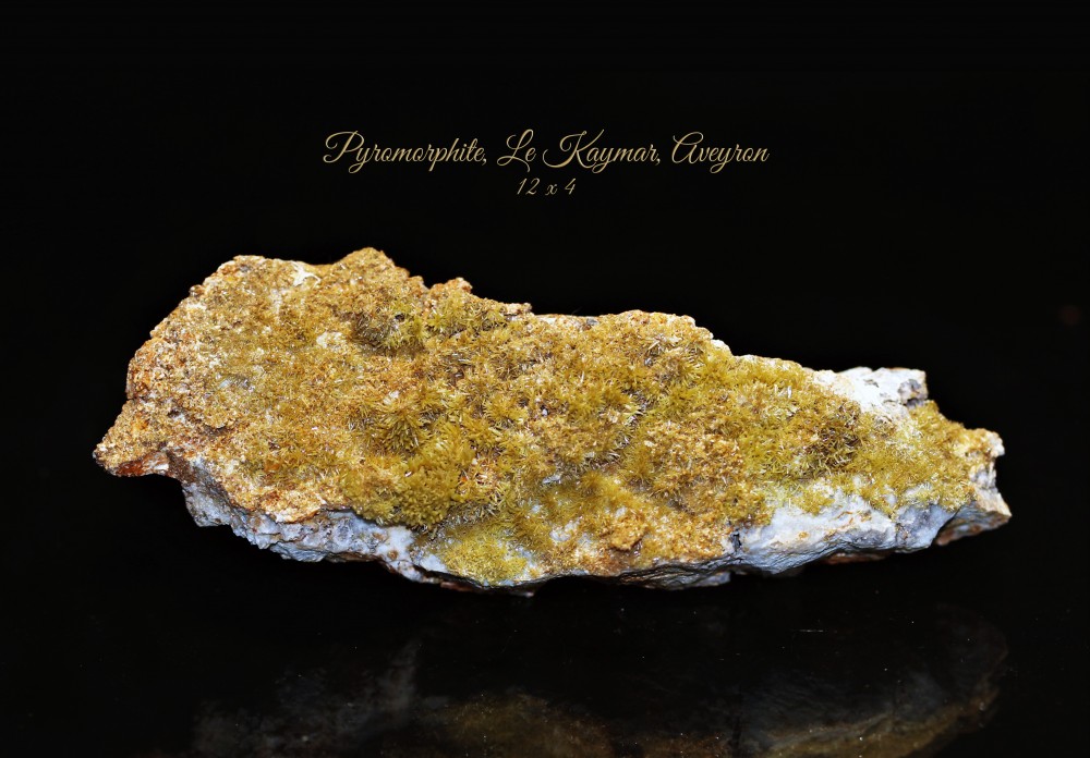 pyromorphite-kaymar-aveyron-1.thumb.jpg.adb1c4a354eb288304d30de44e0007c5.jpg