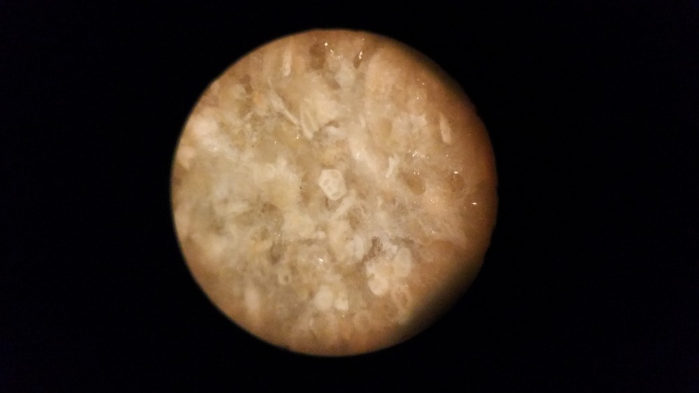 20180227_231724.jpg