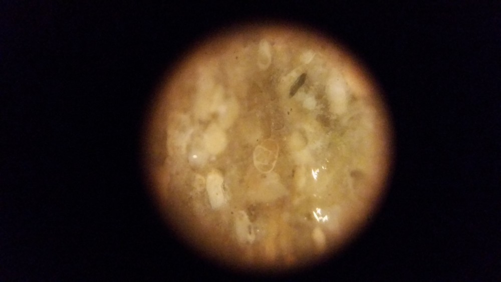 20180227_231938.jpg