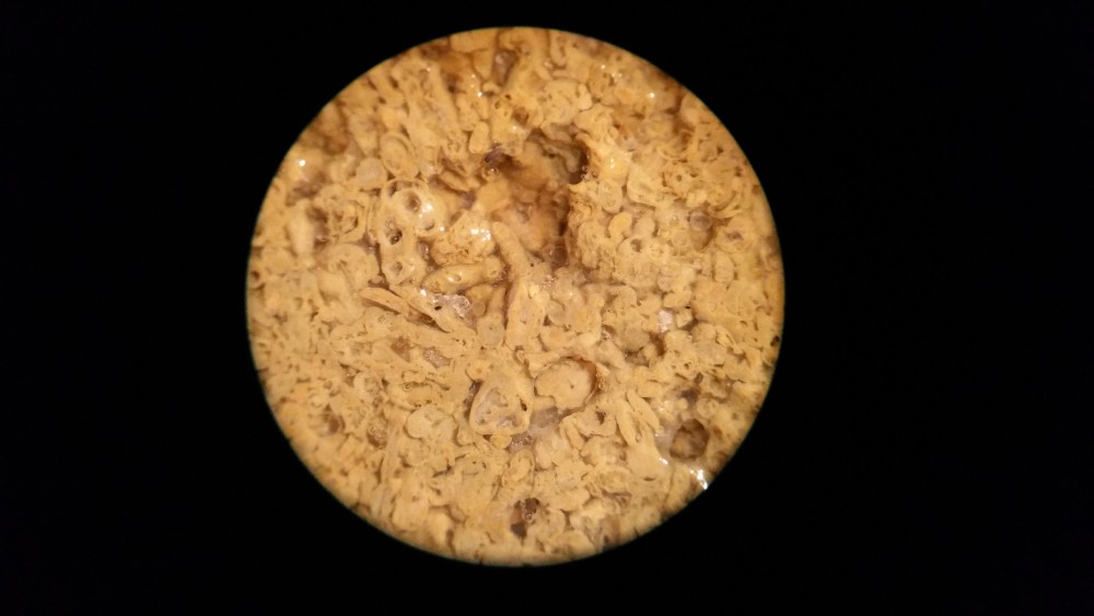 20180228_205905.jpg
