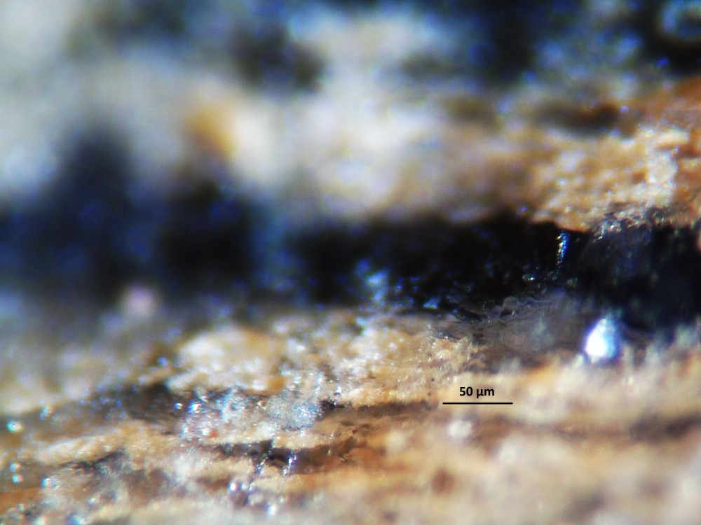 5a9575e2a9a2a_Hot-spring-deposits-N6-siliceous-sinter-laminae-Franceville-basin-Gabon-25.thumb.JPG.15dc6b62bddf0f966874784b7c19a6b1.JPG