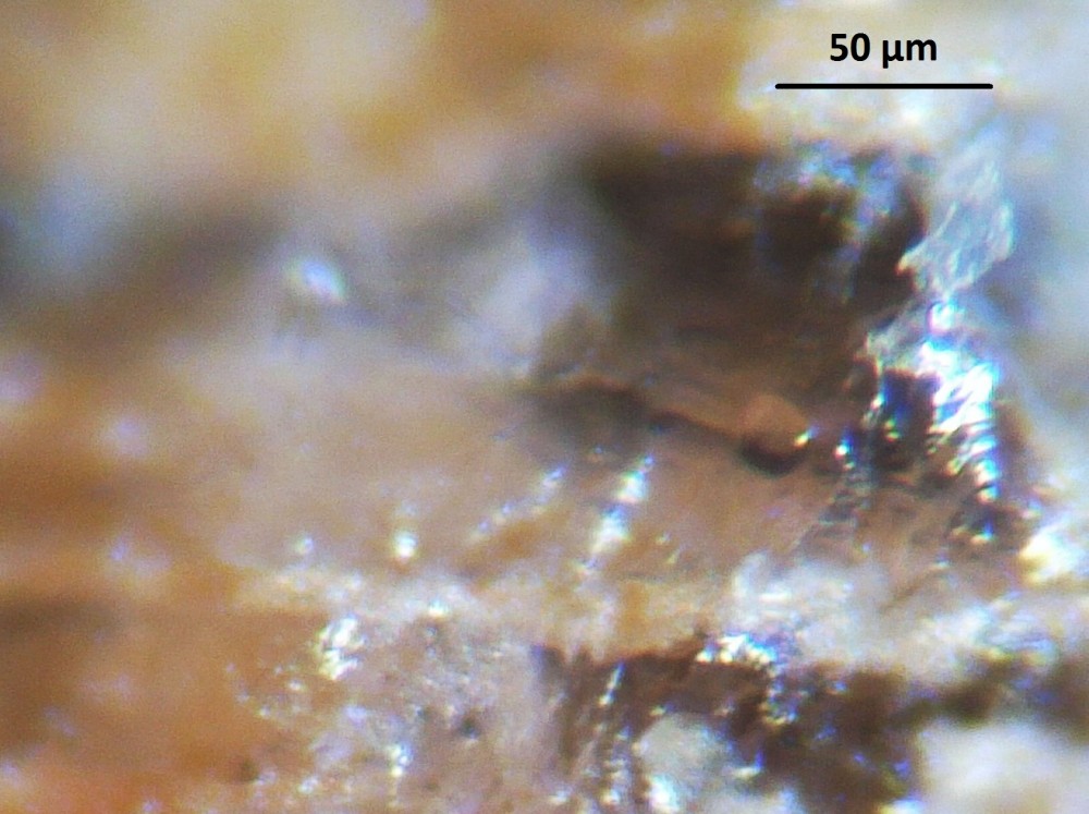 5a95783c4d9d4_Hot-spring-deposits-N6-siliceous-sinter-laminae-Franceville-basin-Gabon-37.thumb.JPG.52e1b17fead2b13b274ca8d5cb6d9c4b.JPG