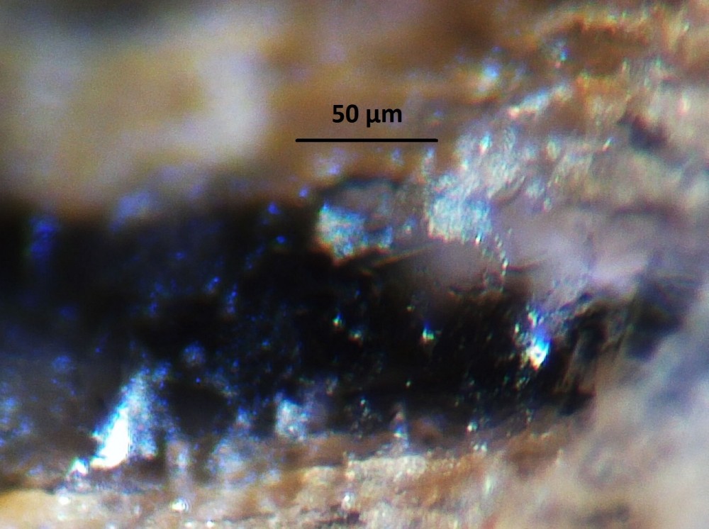 5a9578779925d_Hot-spring-deposits-N6-siliceous-sinter-laminae-Franceville-basin-Gabon-39.thumb.JPG.4bf8c7f57d1d30af99c05d47d8b55d9e.JPG