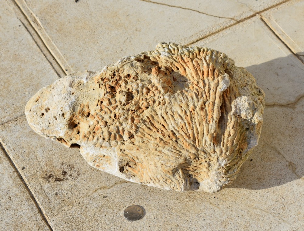DSC_1325.JPG