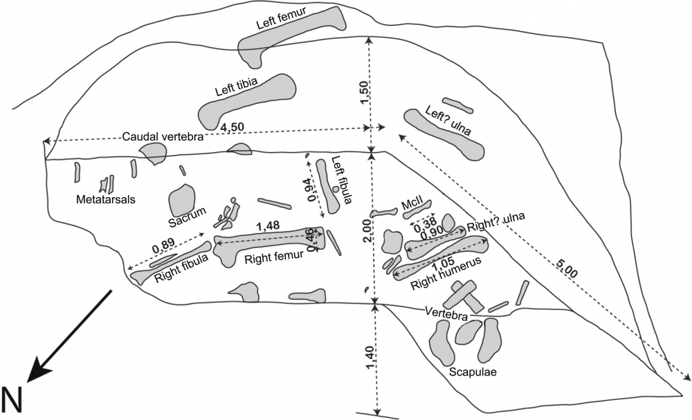 Excavation_plan_of_Vouivria.png