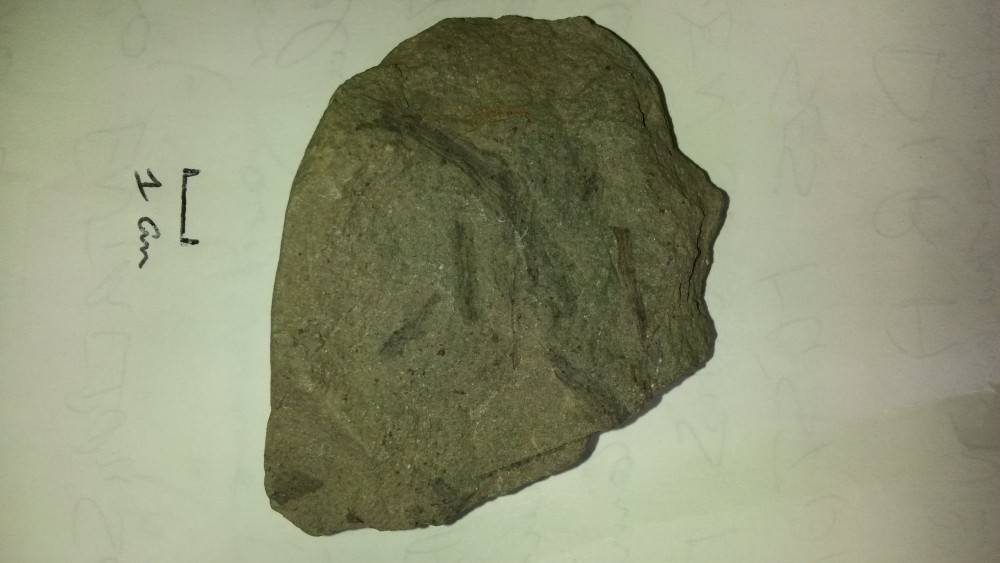 20170417_101149.jpg