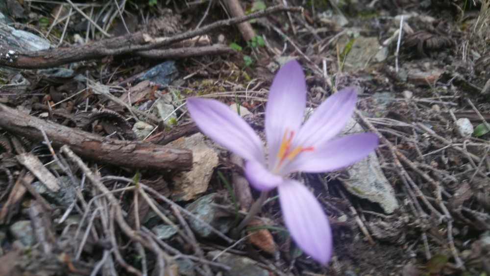 20180216_141052.jpg