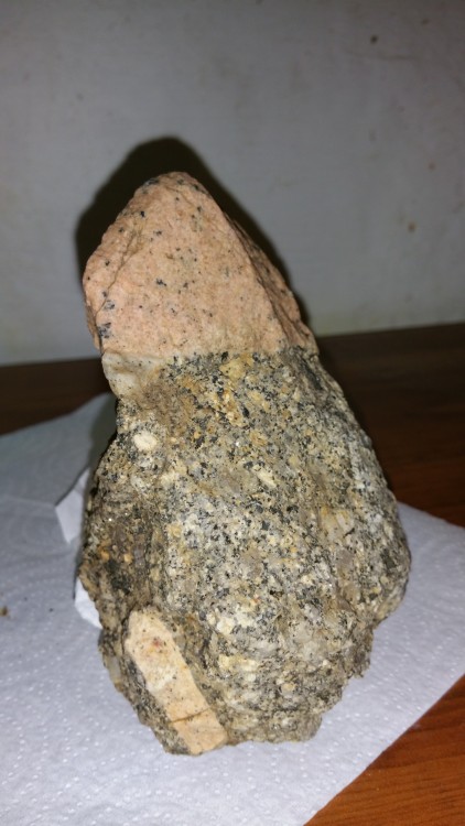 20180318_123228.jpg