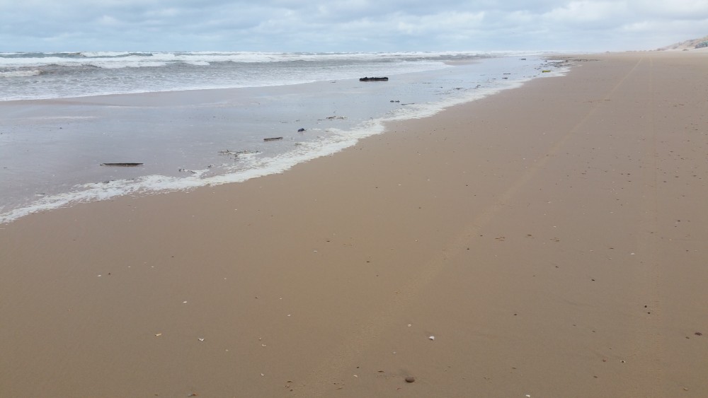 20180319_135513.jpg
