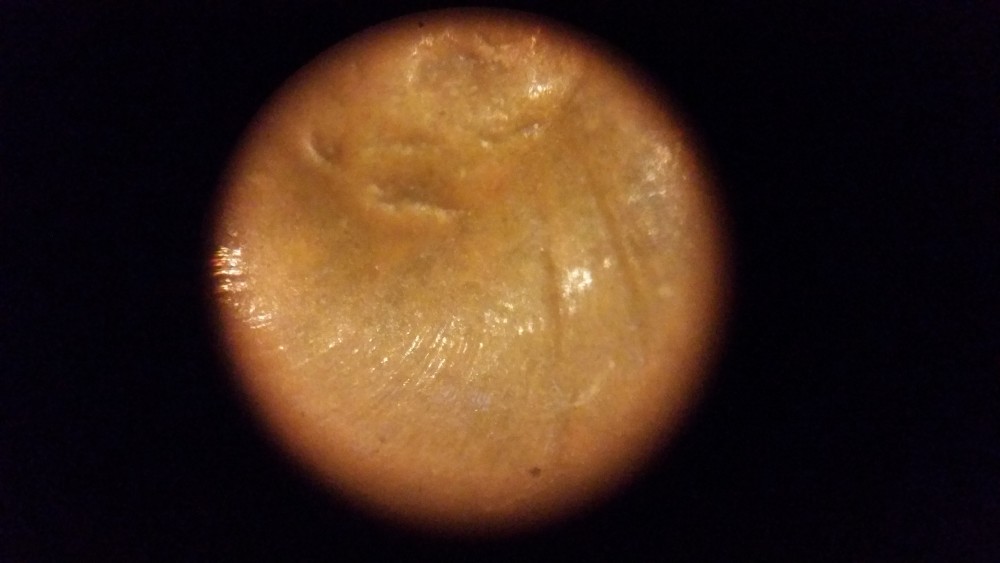 20180322_112542.jpg