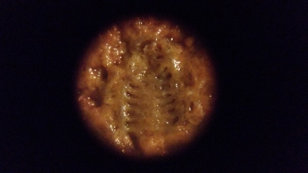 20180322_212948.jpg