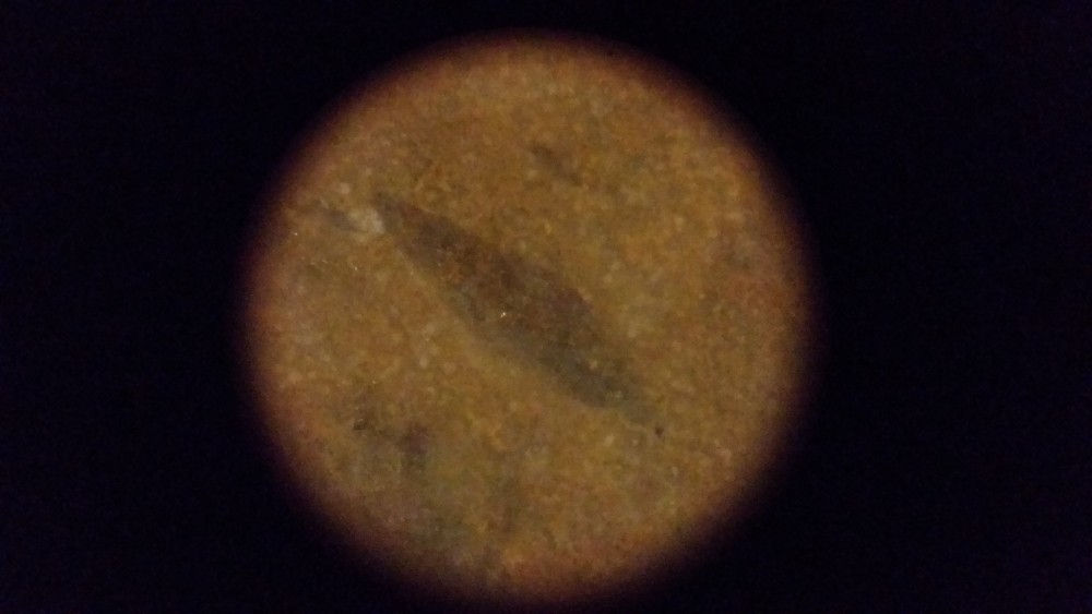 20180323_143004.jpg