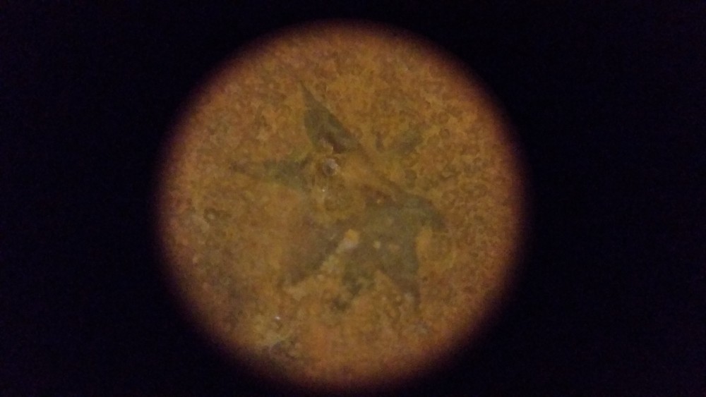 20180323_143210.jpg