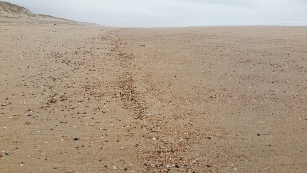 20180323_163115.jpg
