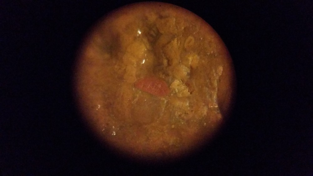 20180325_203716.jpg
