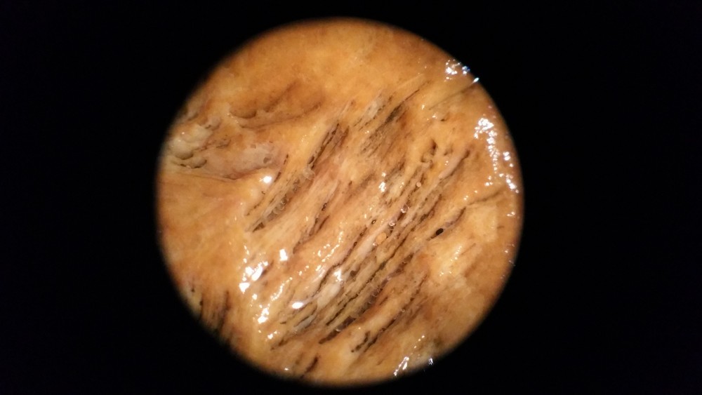 20180325_205517.jpg