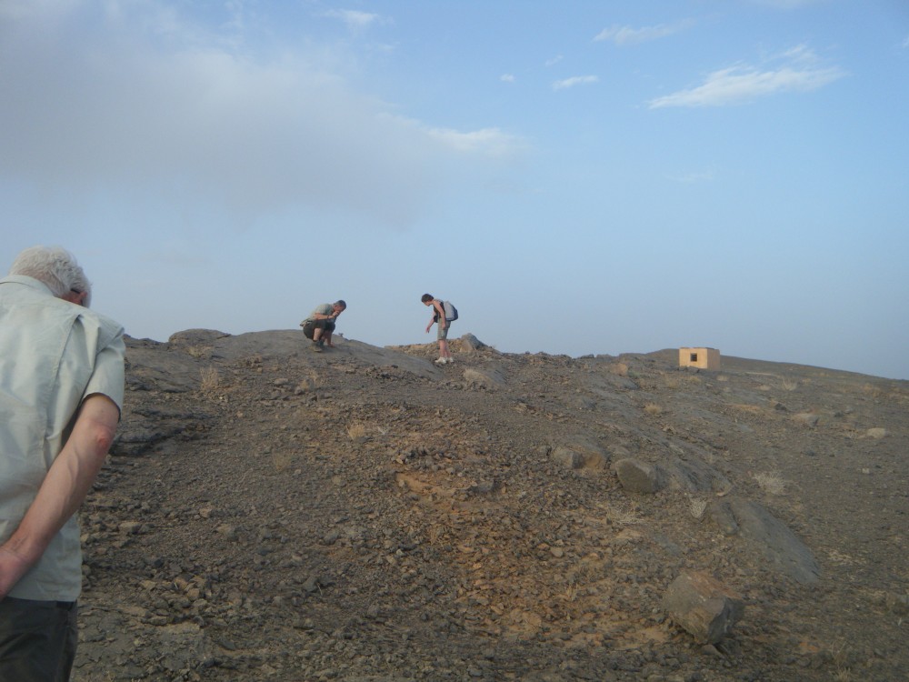 DSCF5029.JPG
