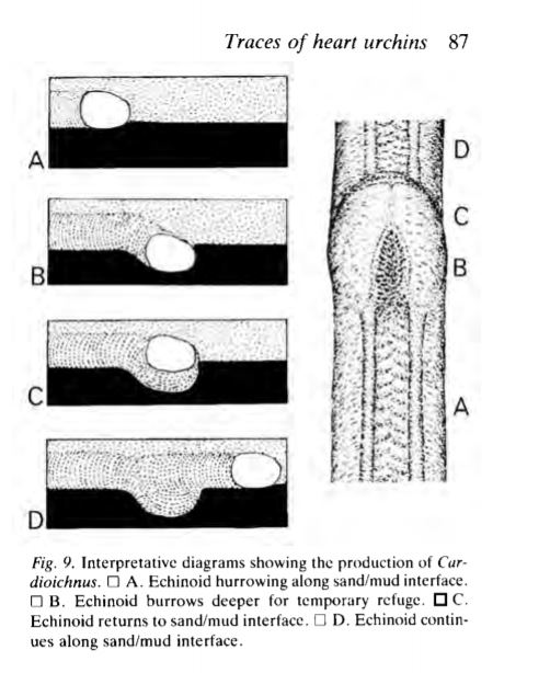 5ad07a407a536_Capturescolicia5.JPG.482c13b9e9a48e6255d8fc6b82e8cab9.JPG