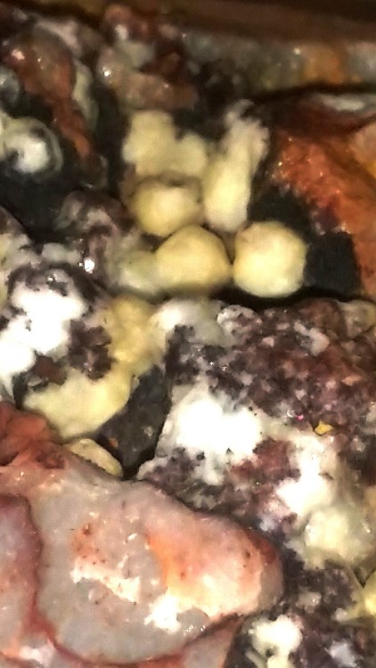 Picture_20181829031841.jpg