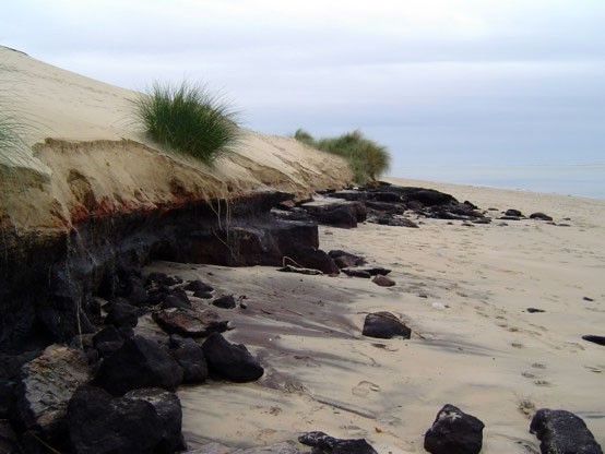 image-paleosol-plage.jpg