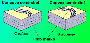 loco.gif.c128f3e51cfa69e51d6eaf00efea105e.gif