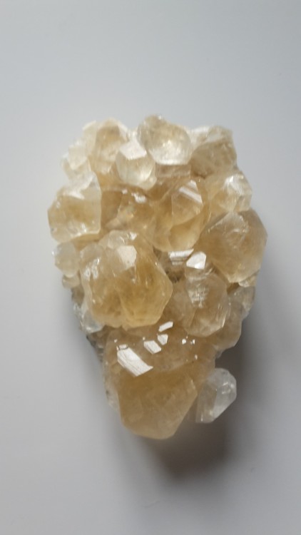 5aeeaad557c03_CALCITE3(GardFrance)1SC451.thumb.jpg.dba7288404a7cca1553e386598bf1232.jpg