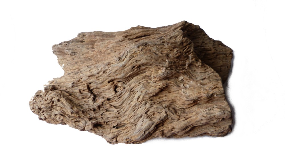 Bois silicifié - 4,100 kg - 27 cm x 16.5 cm x 8 cm (2).JPG