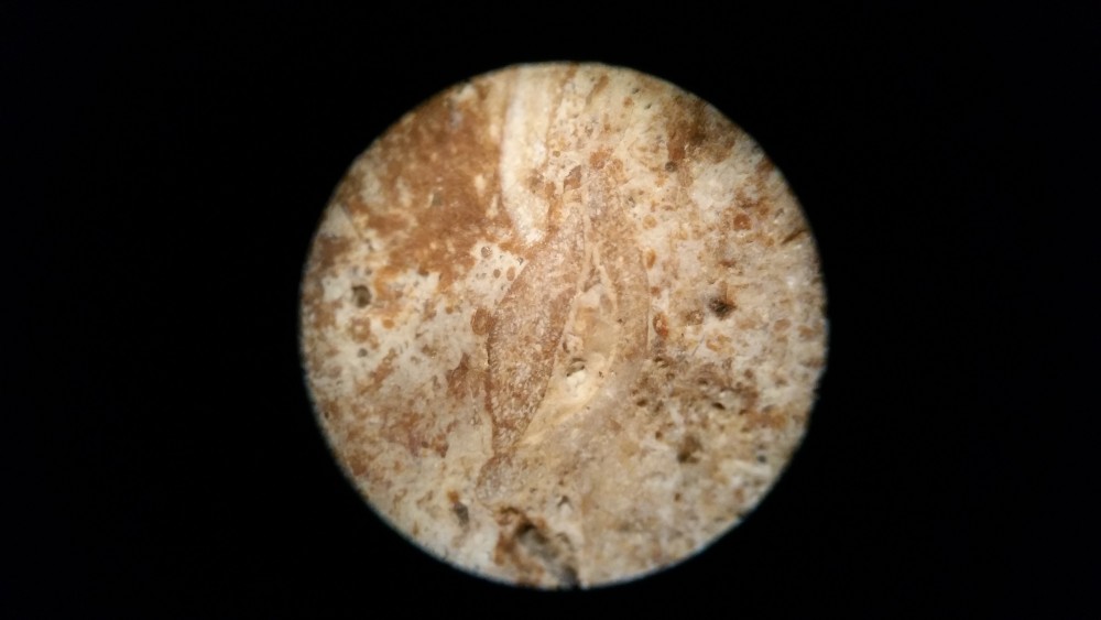20180607_002007.jpg